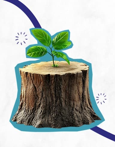 Development of AYUSH Clusters Scheme