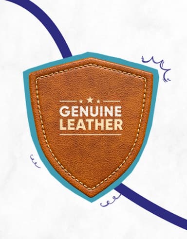 Integrated Development of Leather Sector (IDLS) scheme