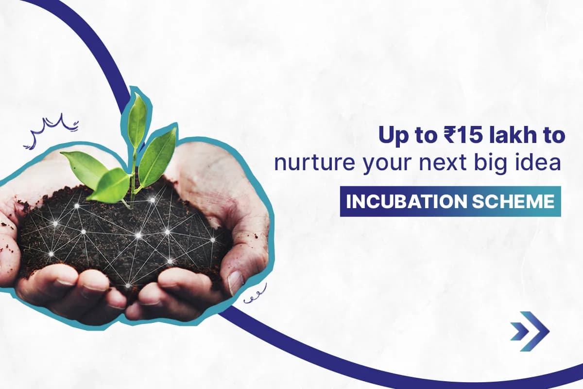 Incubation.webp