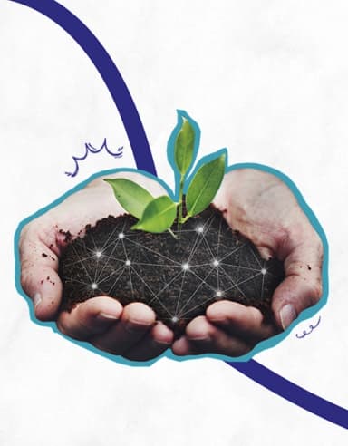 Incubation Scheme