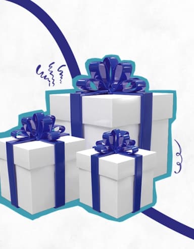 MSE GIFT Scheme