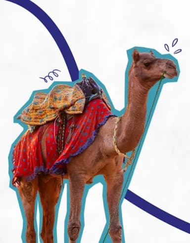 Rajasthan Investment Promotion Scheme
