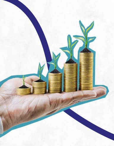 Self Reliant India Fund (SRI Fund)